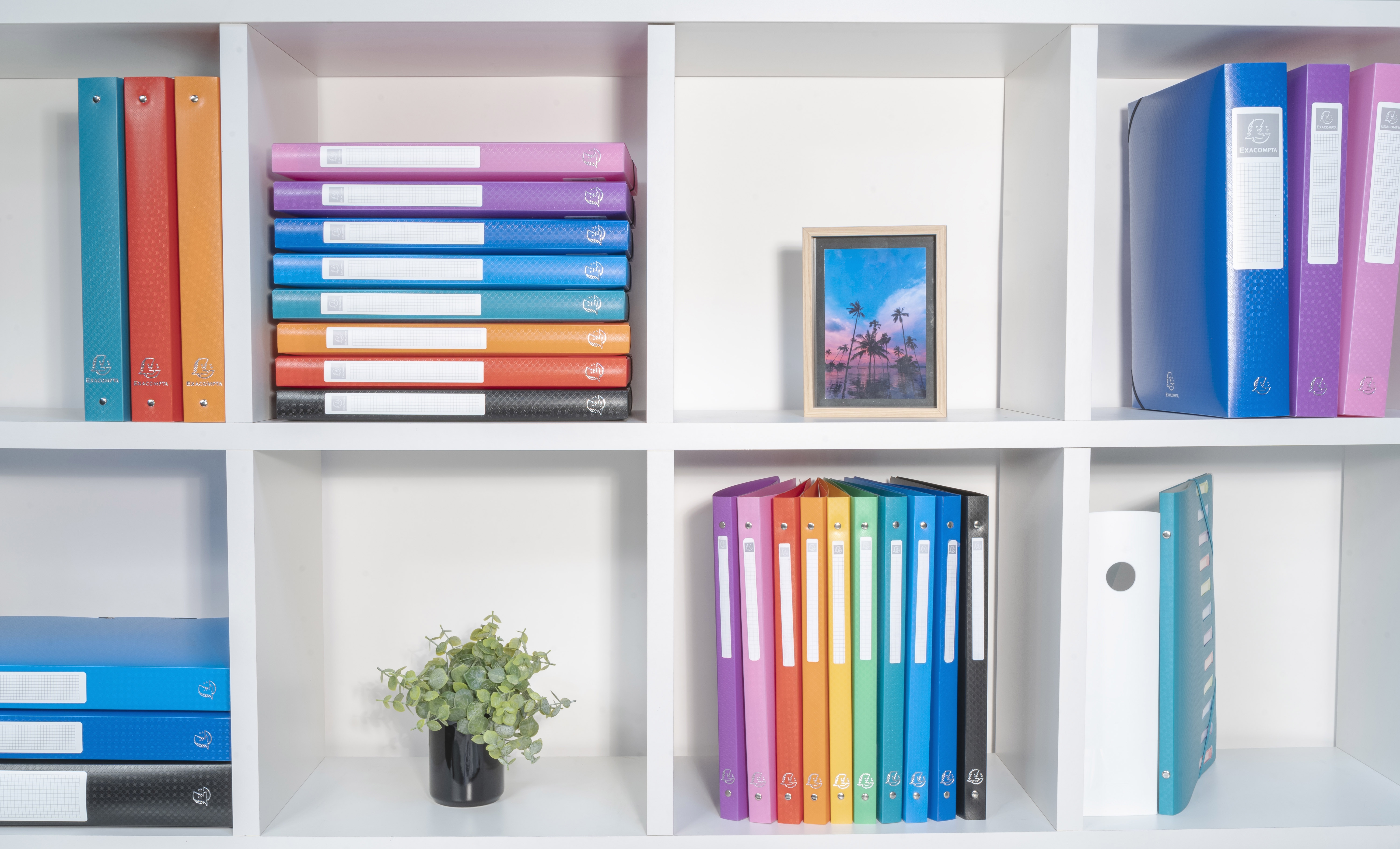 Classeur 4 anneaux 15mm polypropylène OPAK - A4 